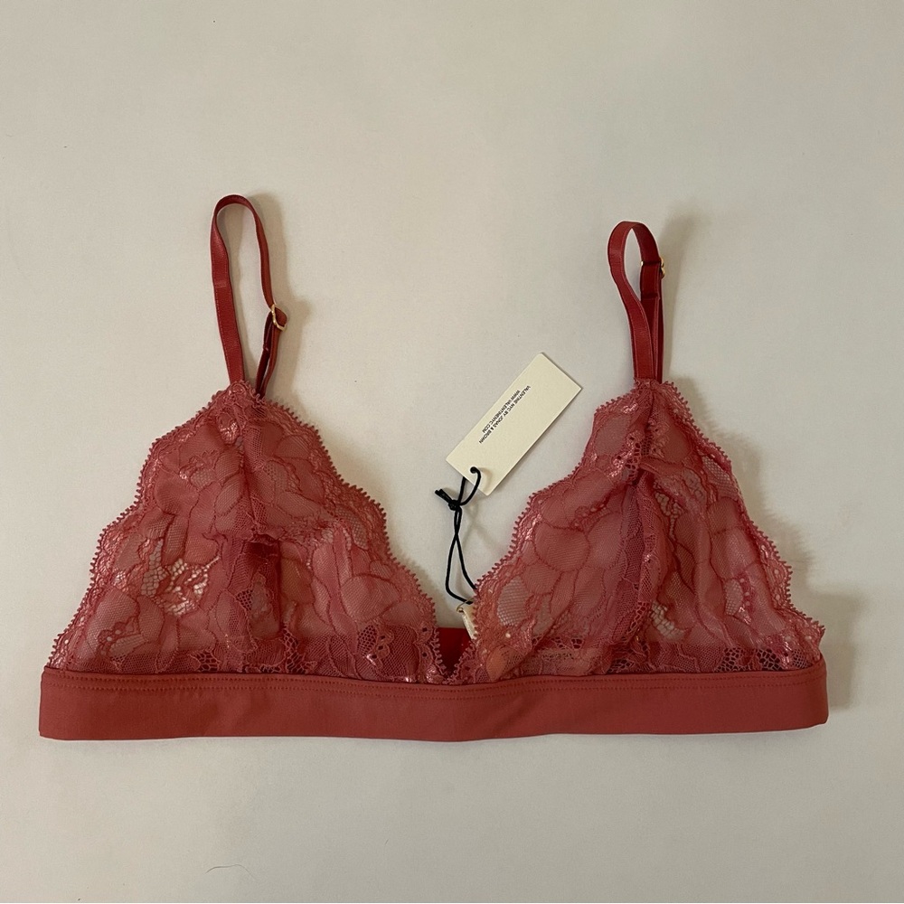 NWT- Valentine by Jonas + Brown Shangri La Bra, Pink Lace Bralette Size Medium